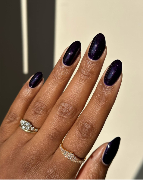 Fall Nail Color Trends 2026 Almost black nail polish